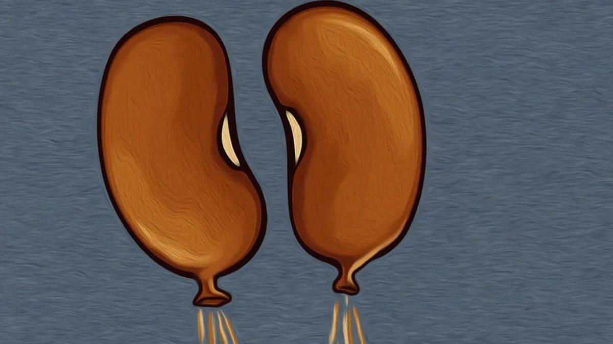 Kuru Fasulyenin İçindeki Bakteriler Ne Yapıyor da Bu Kadar Çok Gaz Salınımına Neden Oluyor?