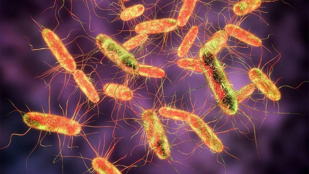 Kinder Çikolatalarında Görülen Salmonella, Şimdi de Oreo Bisküvilerinde Görüldü: 3 Üretim Tesisi Kapatıldı