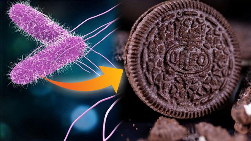 Kinder Çikolatalarında Görülen Salmonella, Şimdi de Oreo Bisküvilerinde Görüldü: 3 Üretim Tesisi Kapatıldı