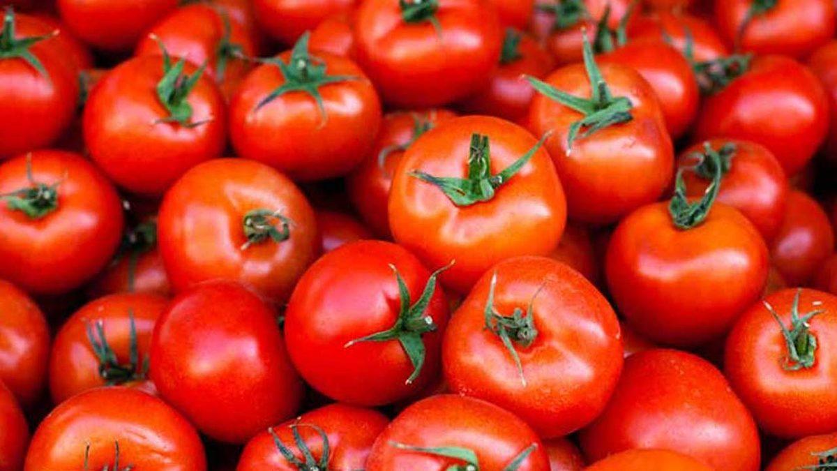 Domates, Patates Gibi Bazı Sebzelerin Şehirde, Kırsal Bölgelere Göre Daha ’Verimli’ Yetiştiği Keşfedildi