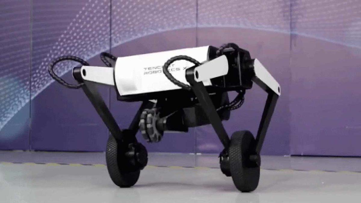 Havada Ters Takla Atabilen Üç Bacaklı Robot Köpek: Karşınızda Ollie [Video]