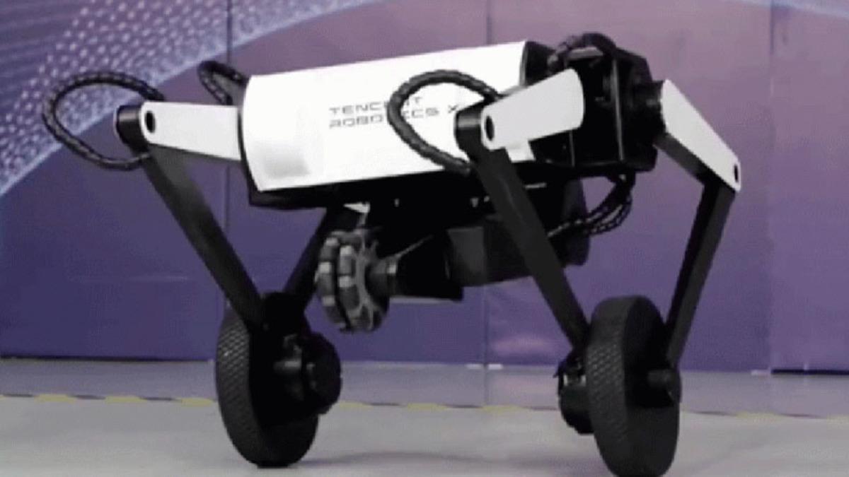 Havada Ters Takla Atabilen Üç Bacaklı Robot Köpek: Karşınızda Ollie [Video]