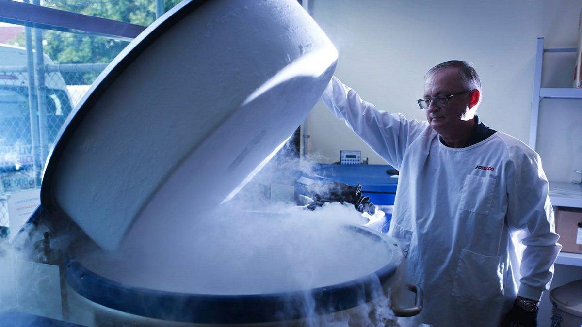 İnsan Vücudunu Öldükten Sonra Dondurup Yeniden Hayata Döndürmek Mümkün mü?