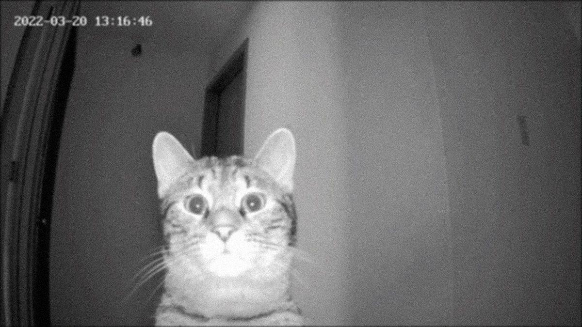 Güvenlik Kamerası Görüntülerinin Kalitesi Neden Hâlâ 6600’la Çekilmiş Gibi?