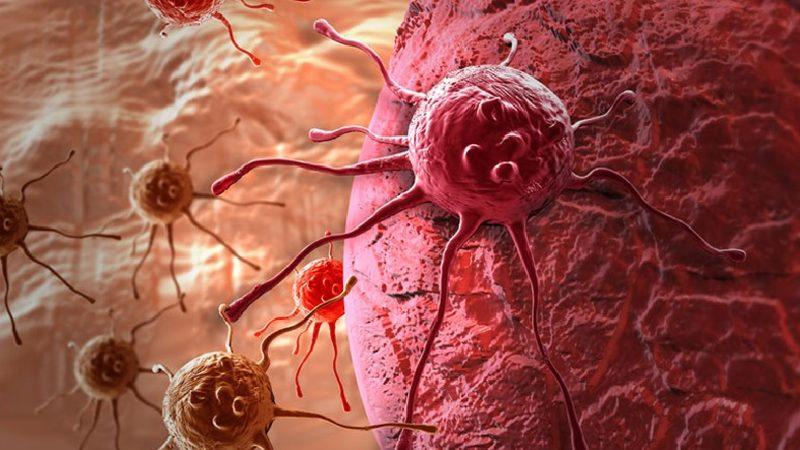 Bilim İnsanları, En Ölümcül Kanser Türlerini Bile Kemoterapi Gibi Yan Etki Bırakmadan Tedavi Edecek Bir Yöntem Geliştirdi