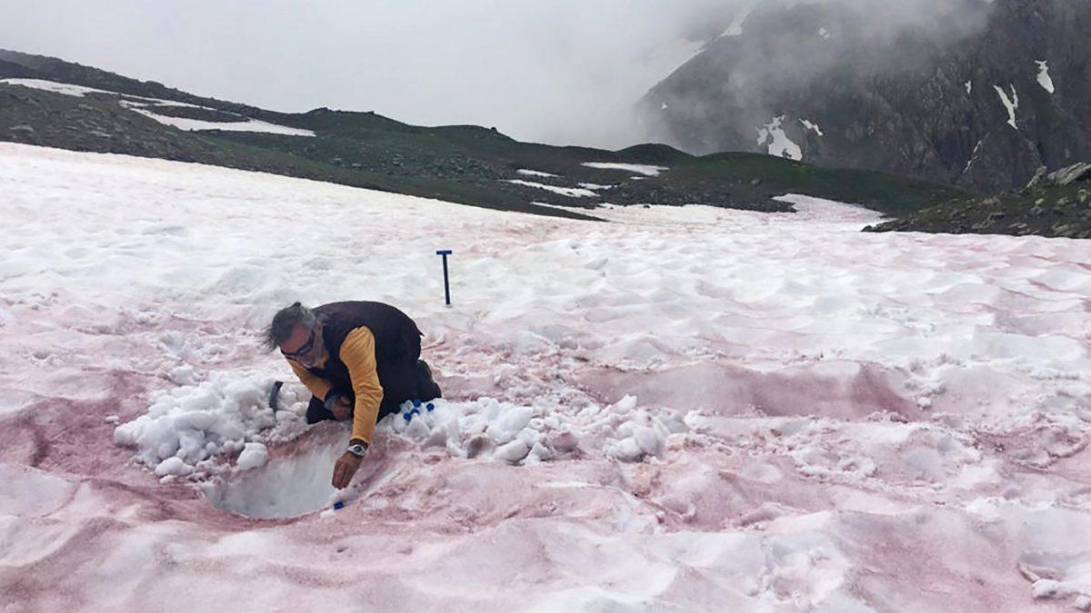 Alp Dağları’nın Yüksek Kesimlerine ’Kırmızı Kar’ Yağdı: İşte Sebebi