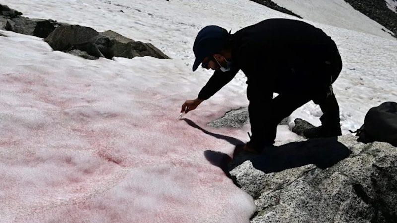 Alp Dağları’nın Yüksek Kesimlerine ’Kırmızı Kar’ Yağdı: İşte Sebebi