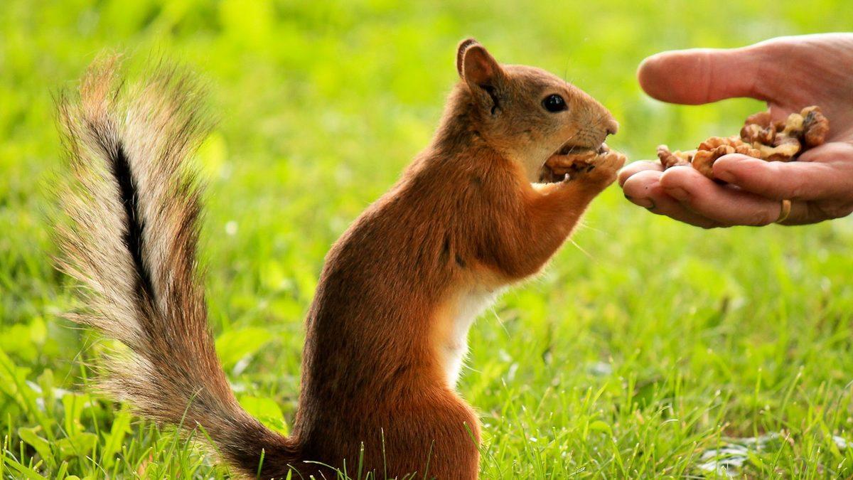 ’Ne Ekersen Onu Biçersin’ Sözünün Karşılığı Olan ’Karma Felsefesi’ Aslında Nedir?