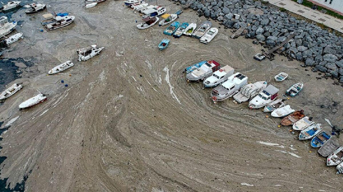 Prof. Dr. Naci Görür’den Kanal İstanbul Açıklaması: Depremin Şiddetini Artıracak