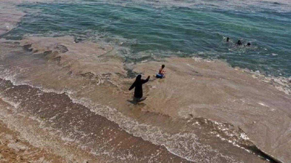 Prof. Dr. Mustafa Öztürk Açıkladı: Marmara’da Denize Girmek Yasaklanmalı