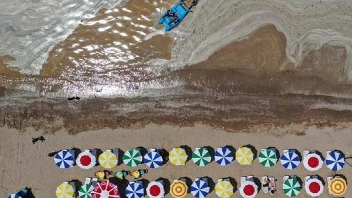 Prof. Dr. Mustafa Öztürk Açıkladı: Marmara’da Denize Girmek Yasaklanmalı