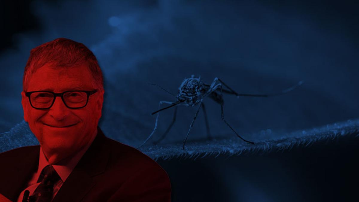 Tehlikeli Bir Hal Almaya Başlayan Batı Nil Virüsü’nün İhalesi Yine Bill Gates’e Kaldı