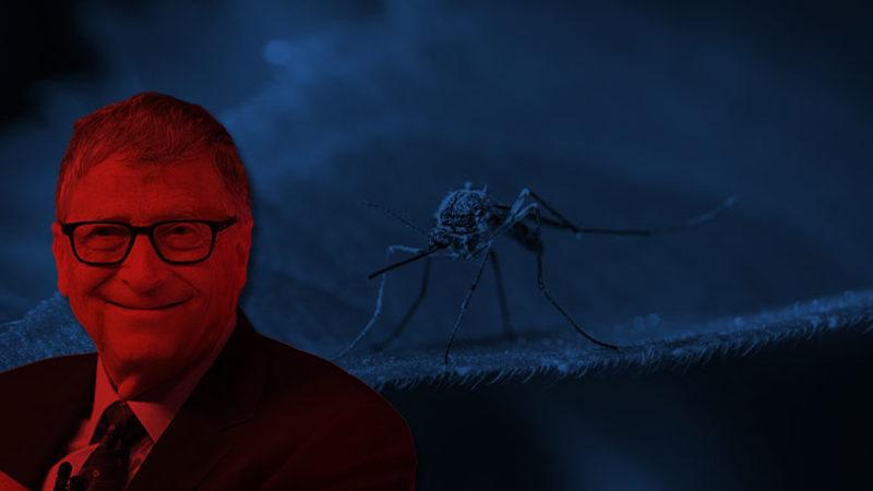 Tehlikeli Bir Hal Almaya Başlayan Batı Nil Virüsü’nün İhalesi Yine Bill Gates’e Kaldı