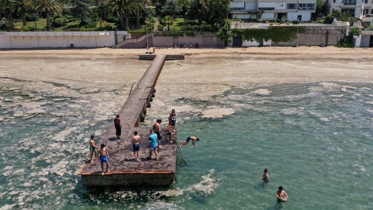 Prof. Dr. Mustafa Öztürk Açıkladı: Marmara’da Denize Girmek Yasaklanmalı