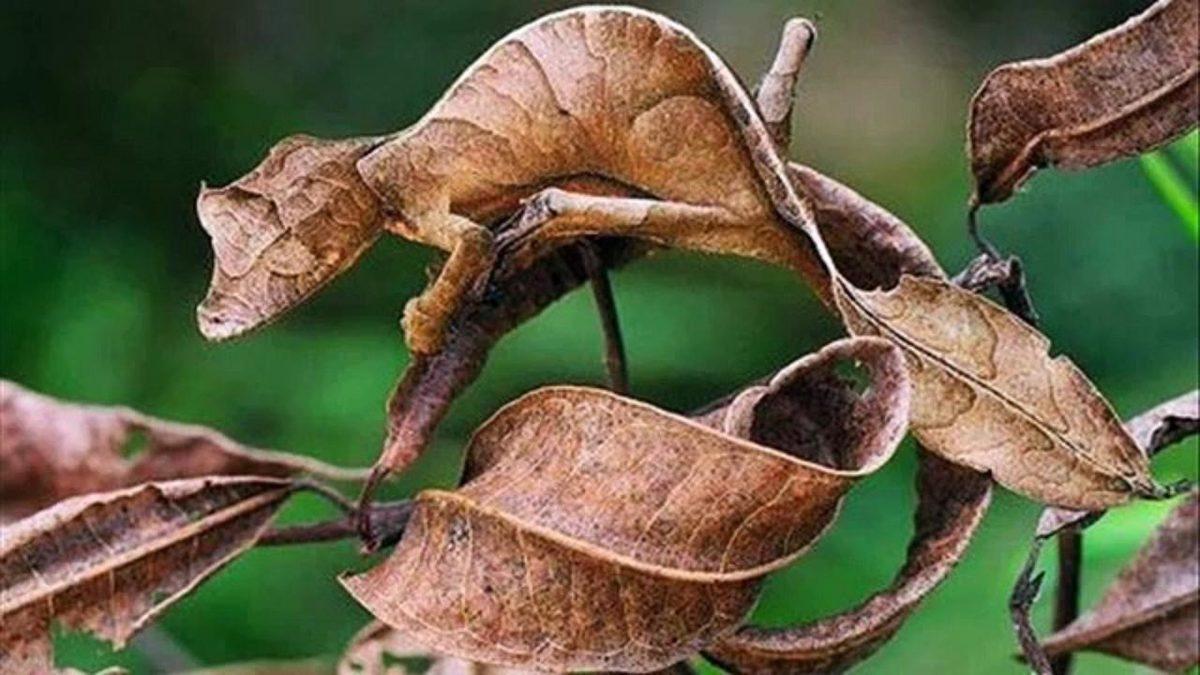 Bir Grup İnsanın 40 Gün Karanlık Mağaraya Kapatıldığı Deneyin Şaşırtan Sonuçları