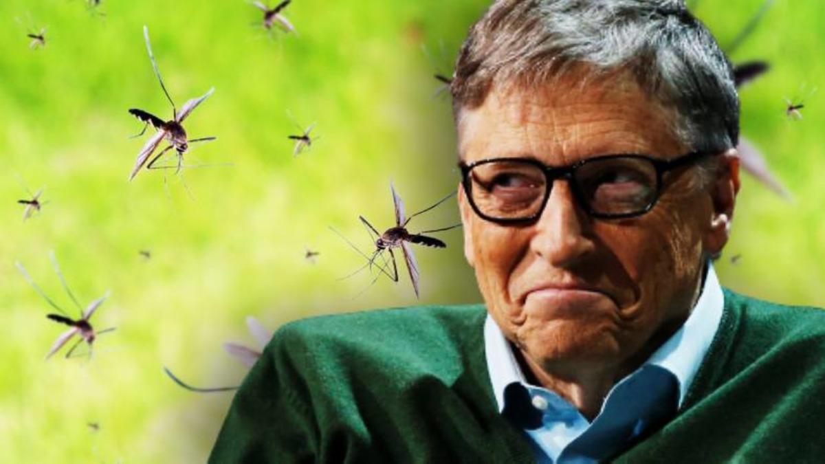 Bill Gates’in ’Çılgın’ Sivrisinek Projesi Komplocuları Rahatsız Etti: Peki İşin Aslı Ne?