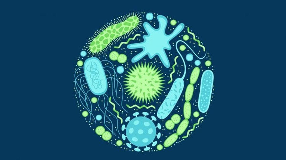 İyileşmeyen Enfeksiyonlar İçin İlaç Adaylarının Belirlenmesini Kolaylaştıran Yeni Bir Yöntem Geliştirildi
