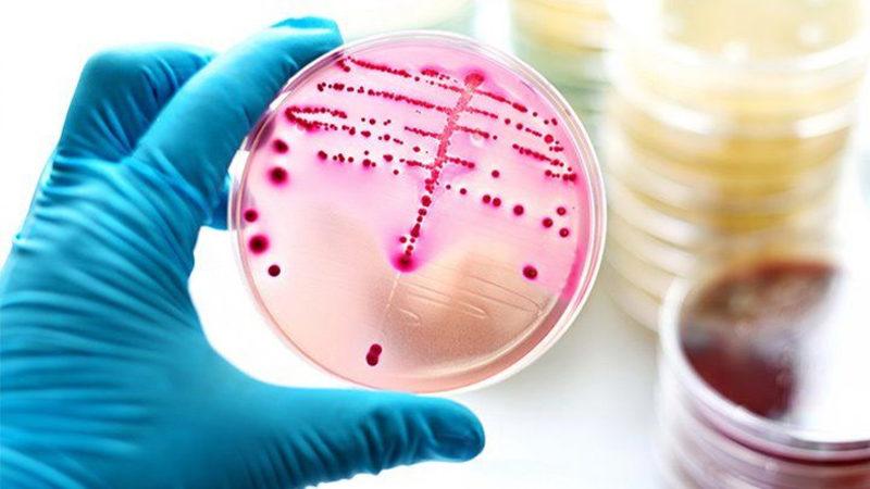 İyileşmeyen Enfeksiyonlar İçin İlaç Adaylarının Belirlenmesini Kolaylaştıran Yeni Bir Yöntem Geliştirildi