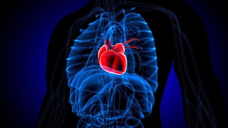 İnsanların Aşırı Üzüntüden Ölmesine Yol Açan ’Kırık Kalp Sendromu’na Neyin Sebep Olduğu Açıklandı