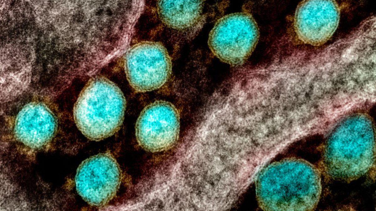 Aşıdan Sonra Neden Kol Ağrısı Yaşarız, Bu Ağrı Nasıl Azaltılır?