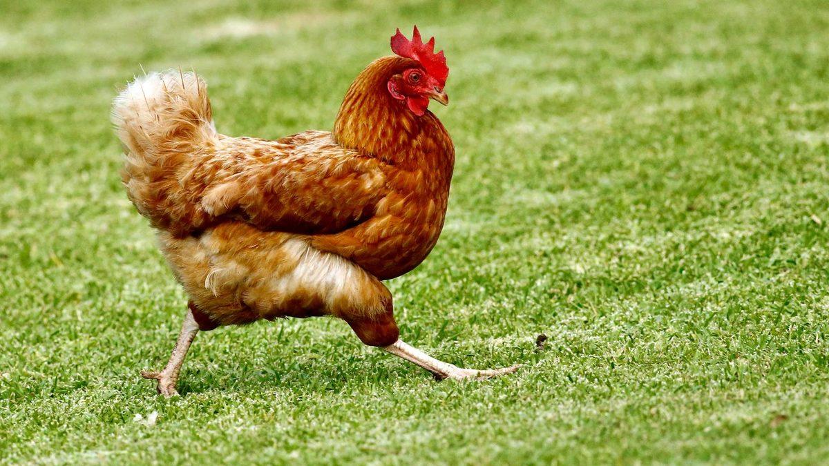 Duyunca Bunun da Fobisi mi Varmış Diyeceğiniz Dünyanın En İlginç Fobileri