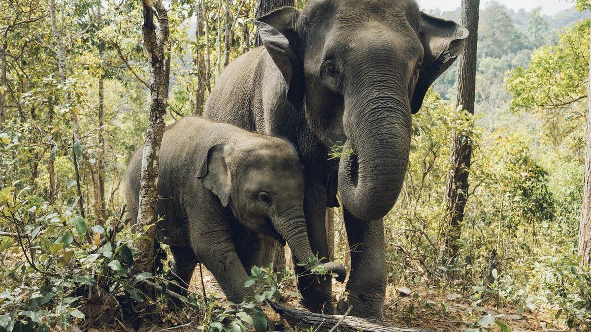 Duyunca Bunun da Fobisi mi Varmış Diyeceğiniz Dünyanın En İlginç Fobileri