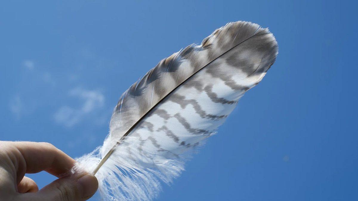 Duyunca Bunun da Fobisi mi Varmış Diyeceğiniz Dünyanın En İlginç Fobileri