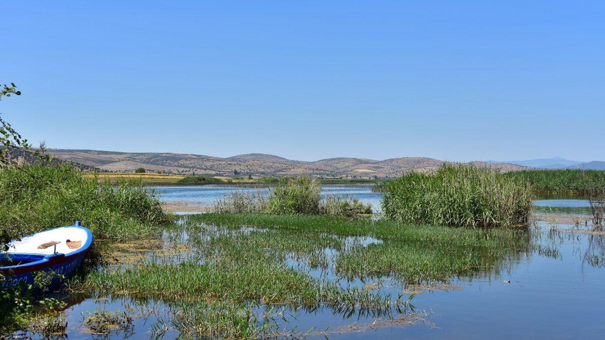 Celal Şengör’ün Bile Full Çekemeyeceği Bu Coğrafya Sorularından Kaçını Bilebileceksin?