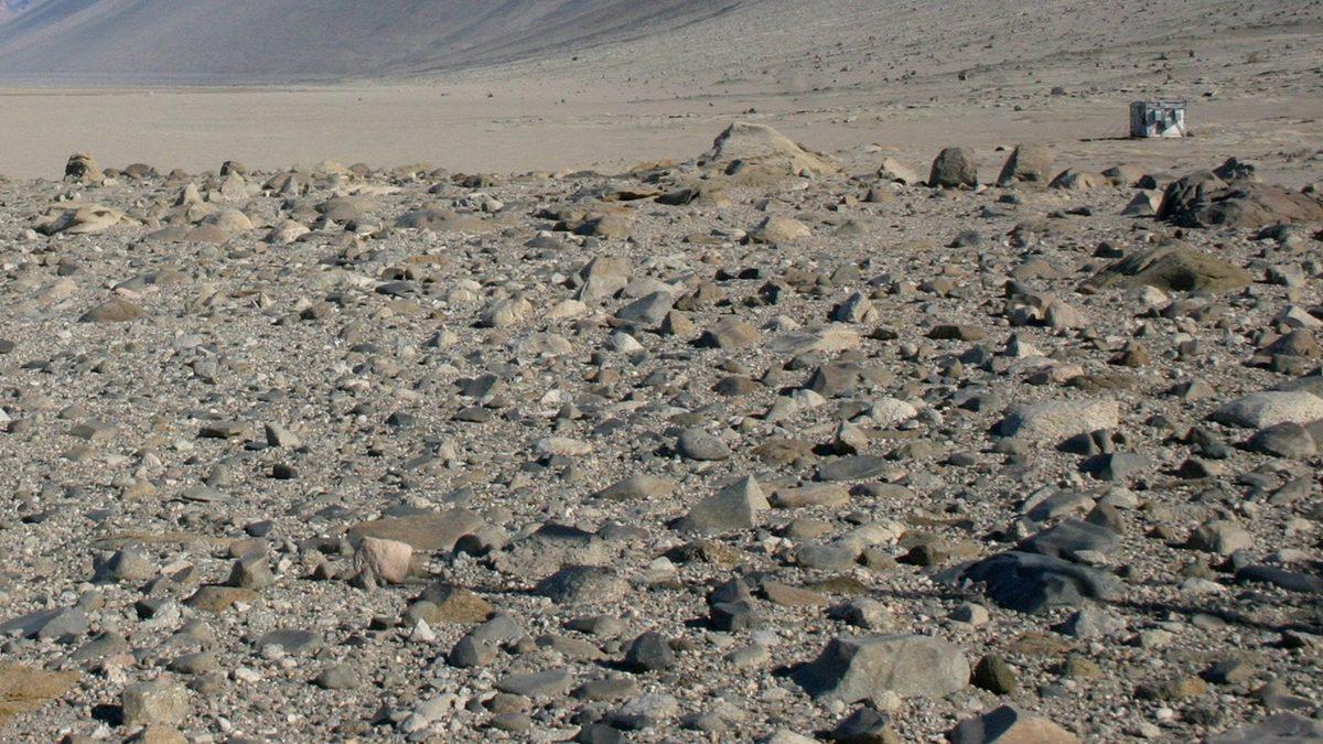 Celal Şengör’ün Bile Full Çekemeyeceği Bu Coğrafya Sorularından Kaçını Bilebileceksin?