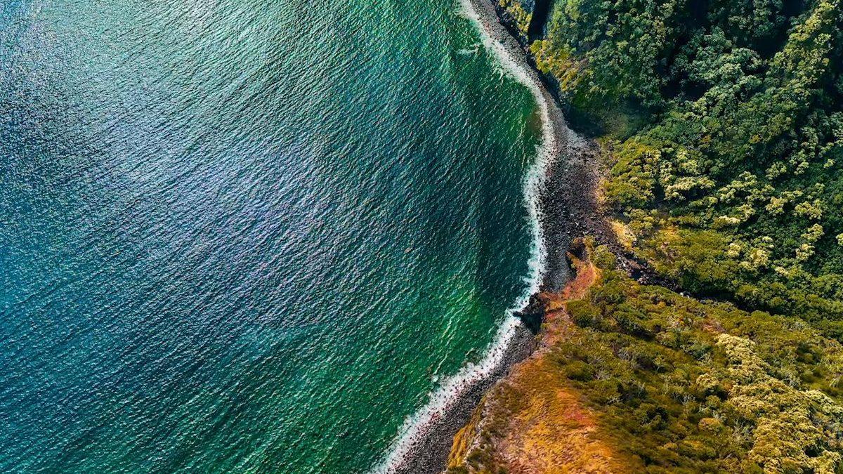 Almaya Değer mi? İşte iPhone 14 Pro’nun Özellikleri ve Fiyatı