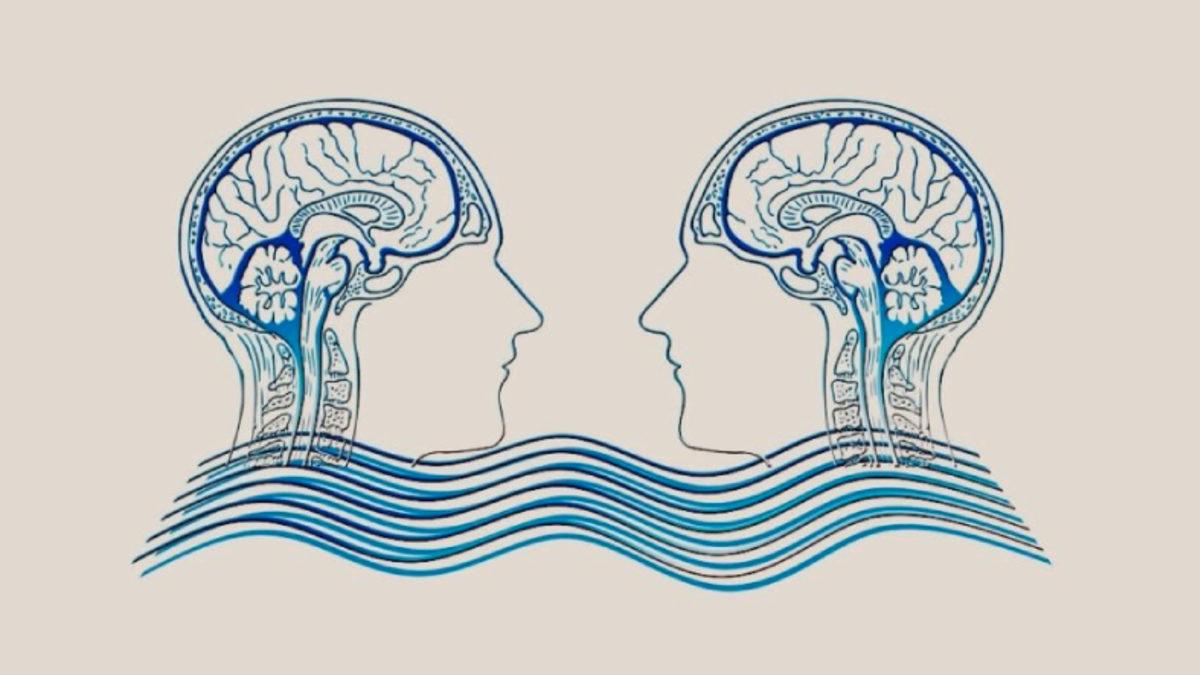 Çevrim İçi Oyun Oynayan İnsanların Beyinlerinin Birbiriyle Senkronize Olduğu Keşfedildi