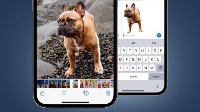 iPhone 14 ile Gelecek iOS 16’dan Eğlenceli Özellik: Fotoğraflardan Nesneleri Ayırabileceksiniz