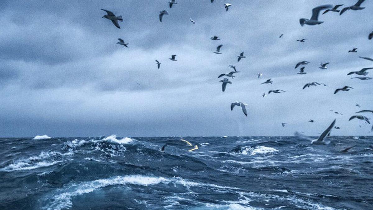 Aynı Rüzgarda 2 Kat Daha Fazla Elektrik Üreten Rüzgar Türbini Geliştirildi