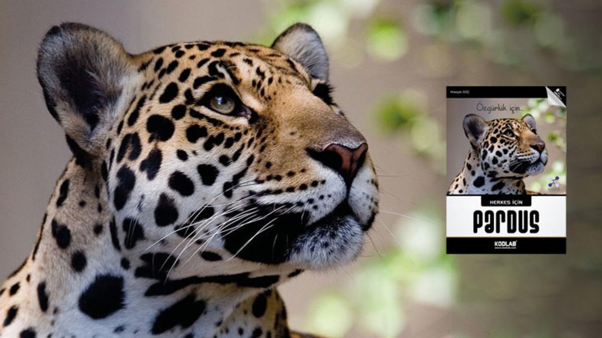 Yerli İşletim Sistemi Pardus’un Tüm Detaylarını Anlatan Bir Kitap Yayınlandı: Herkes İçin Pardus