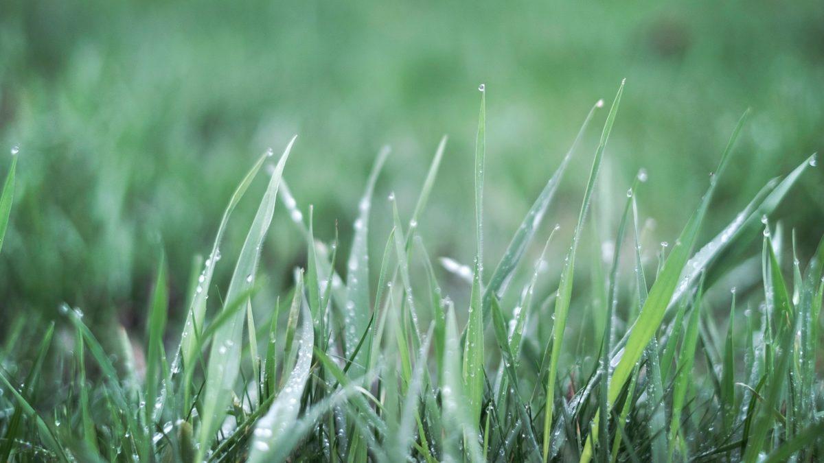 Havadan Yakıt Üreten Makine Prototipi Ortaya Çıktı (Olabilir mi Öyle Bir Şey? Lütfen Olsun Çünkü)