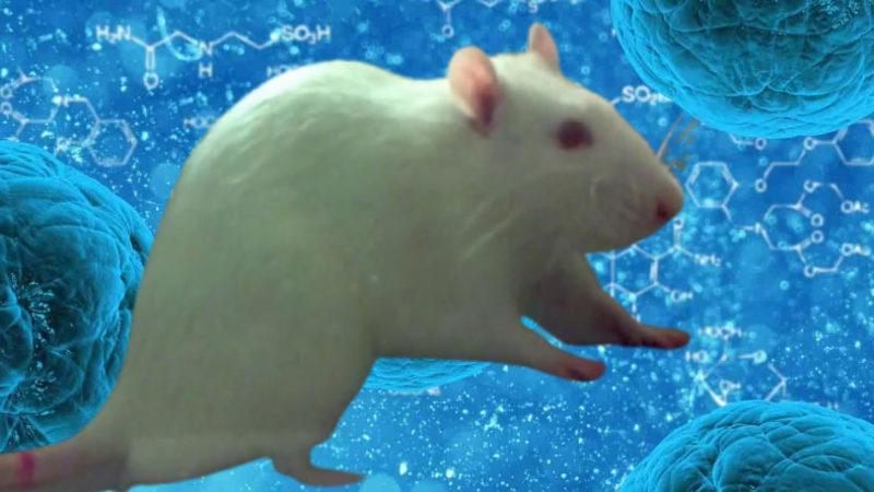 Bu Tedavi Akciğer Kanserini Kalıcı Olarak Durdurulabilir: Hücrelerin Direnç Oluşturması Engellendi