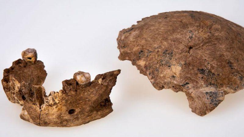 Hadi Buyrun: İsrail’de Yeni Bir İnsan Türü Keşfedildi