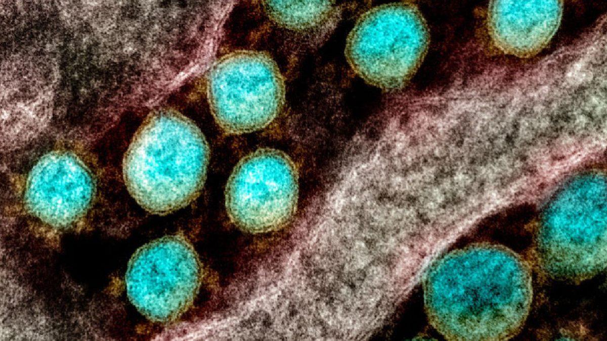 Bilim İnsanları Ortaya Çıkardı: İlk Koronavirüs Salgını 20 Bin Yıl Önce Yaşanmış