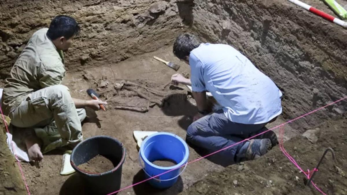 Bilinen En Eski Cerrahi ’Uzuv Kesme’ Operasyonu Keşfedildi: Tam 31 Bin Yıl Önce, Taş Aletlerle…