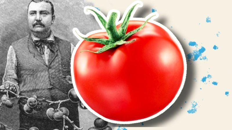 Sofralarımızdan Eksik Olmayan Domates, İlk Defa Nasıl Ortaya Çıktı? Bir Dönem Zehirli Olduğu Bile Düşünülmüş!