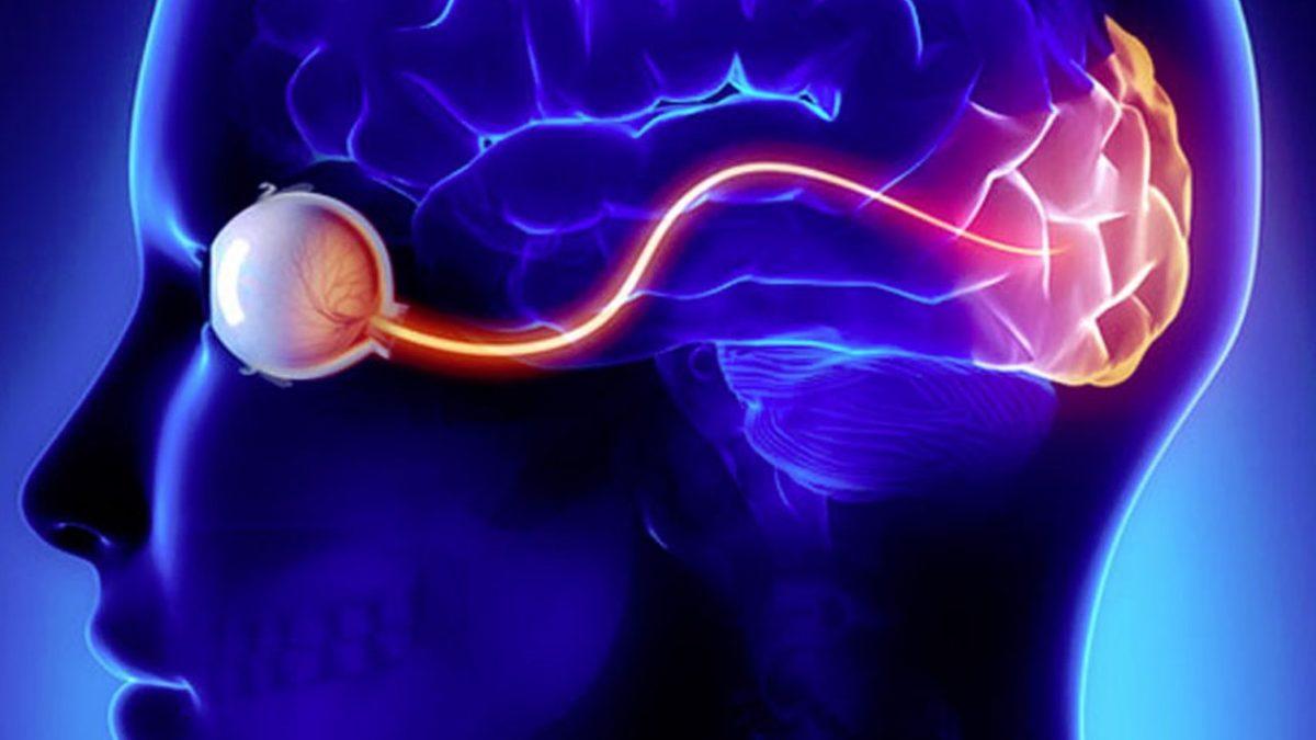 Zihinsel İmgelemenizin Diğer İnsanlardan Daha İyi Olup Olmadığını Anlayacağınız Test: Ganzflicker