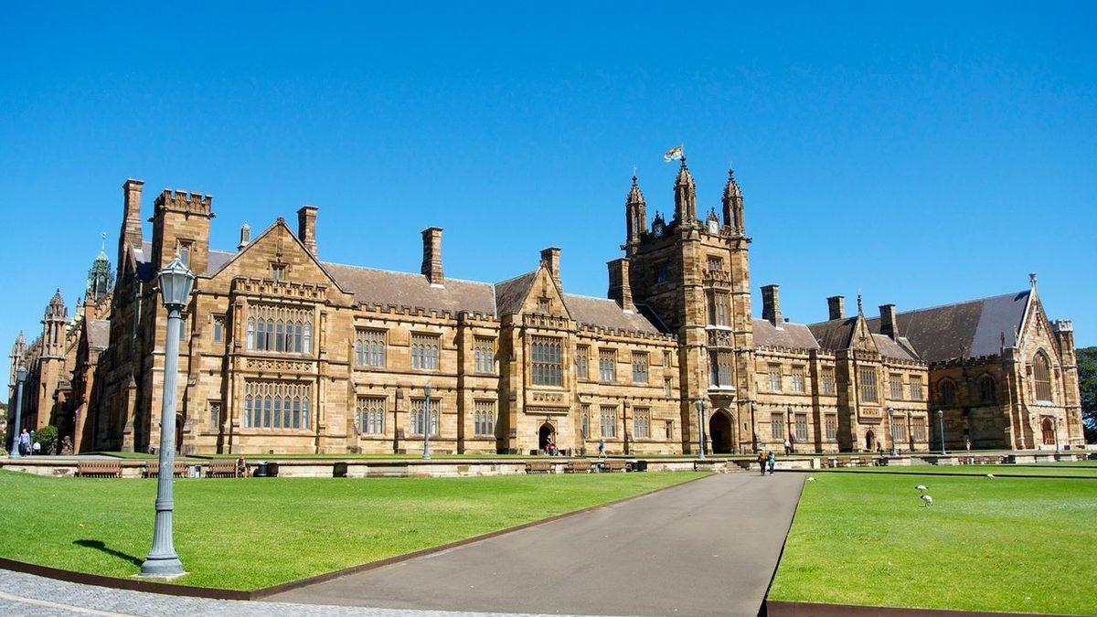 Sığır Eti Derecelendirmeden Akademik Sisteme: Üniversite Harf Notları Nereden Geliyor?