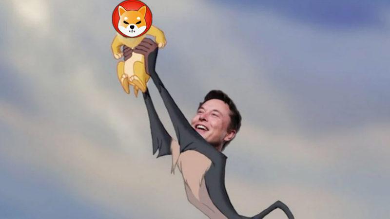 Elon Musk’ın Attığı Tweet Sayesinde SHIB Tekrar Yükselişe Geçti