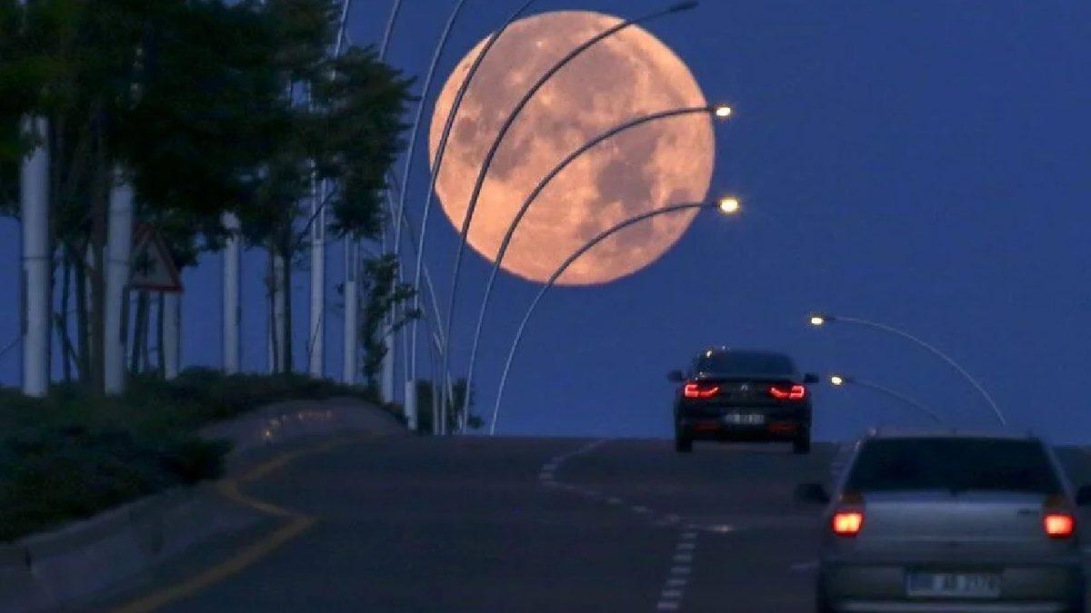 Her Yıl Haziran Ayında Gerçekleşen Çilek Ayı’ndan Eşsiz Görüntüler