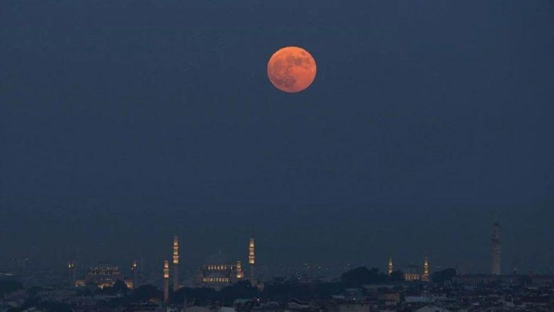 Her Yıl Haziran Ayında Gerçekleşen Çilek Ayı’ndan Eşsiz Görüntüler