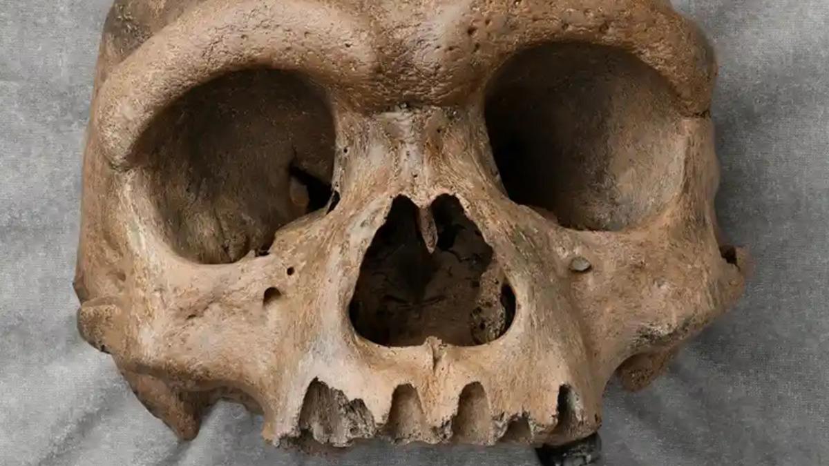 Çin’de Şu Ana Kadar Bilmediğimiz Bir İnsan Türüne Ait Kafatası Bulundu