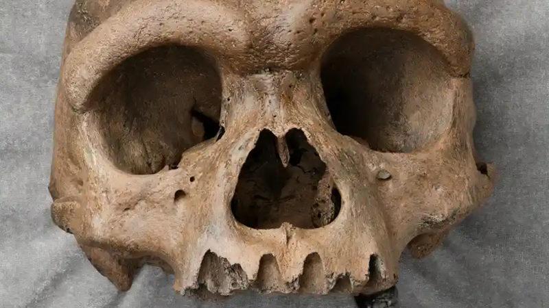 Çin’de Şu Ana Kadar Bilmediğimiz Bir İnsan Türüne Ait Kafatası Bulundu