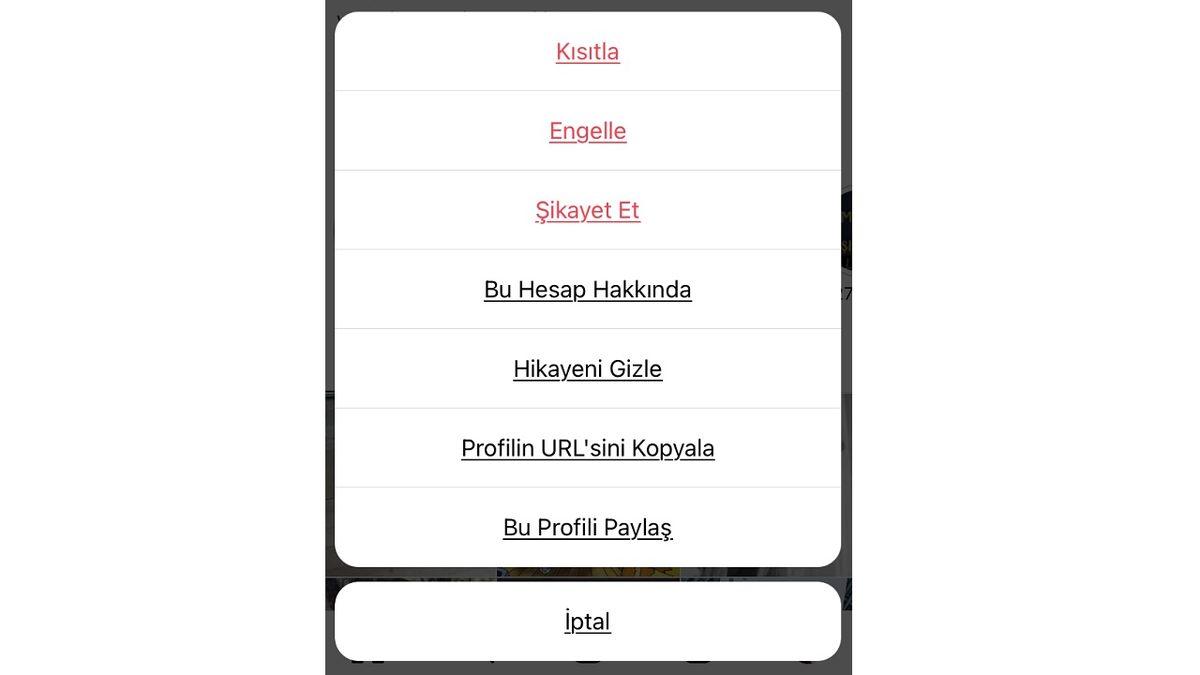 Instagram Bildirimleri ve Takip Ettiğiniz Hesaplar Nasıl Sessize Alınır?