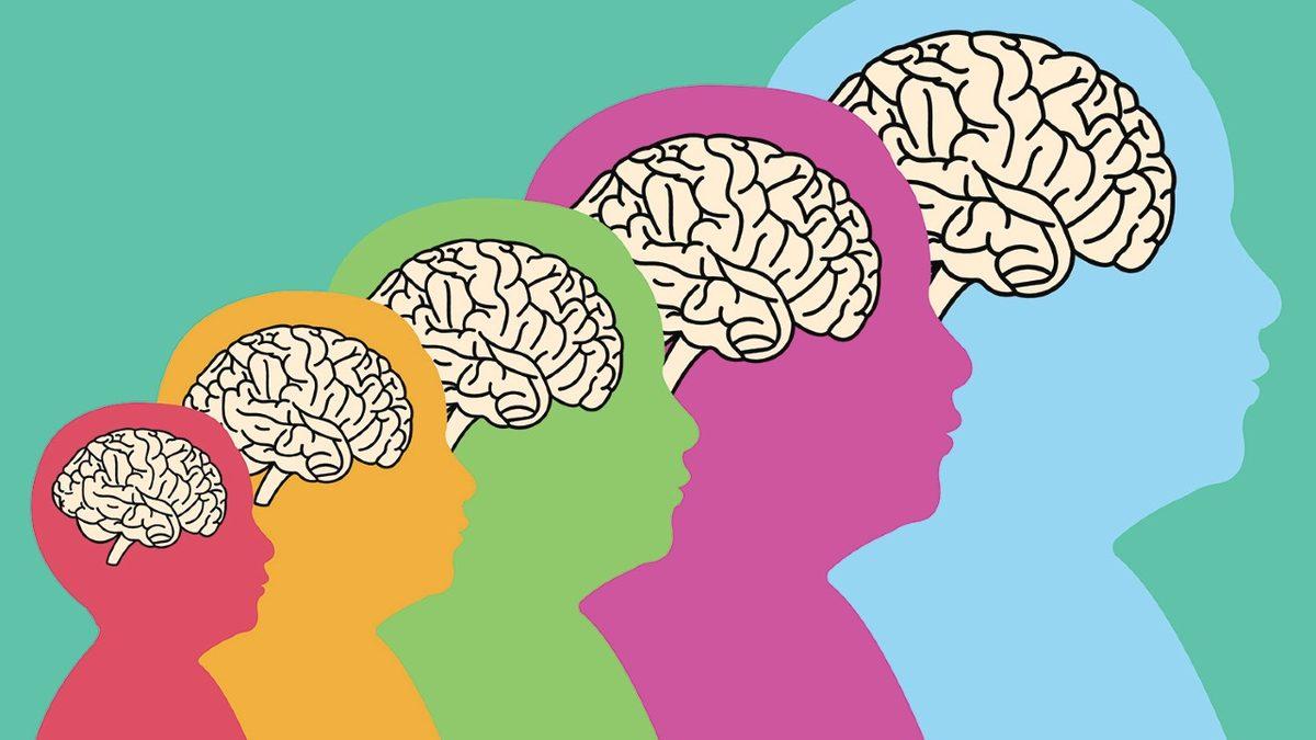 Öğrenme Yeteneğinizi En Üst Seviyeye Çıkaran Beyninizdeki ’BDNF Proteini’ Nasıl Artırılır?