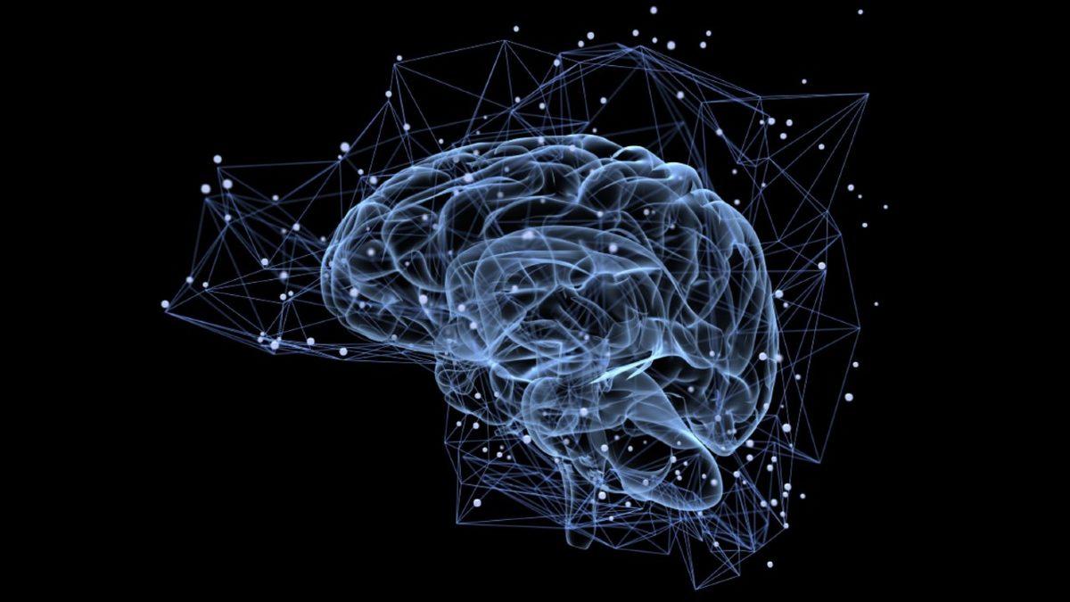 Öğrenme Yeteneğinizi En Üst Seviyeye Çıkaran Beyninizdeki ’BDNF Proteini’ Nasıl Artırılır?